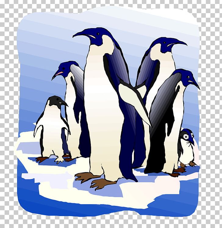King Penguin Flightless Bird PNG, Clipart, Animals, Beak, Bird, Cartoon, Encapsulated Postscript Free PNG Download