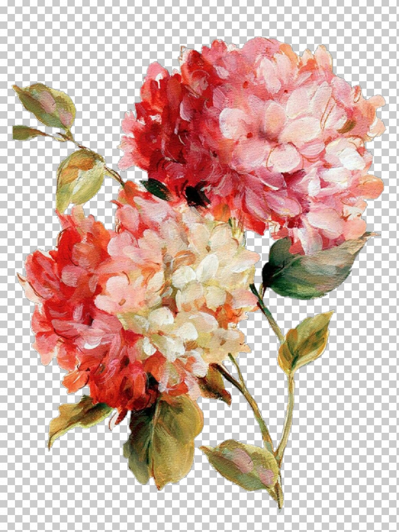 Artificial Flower PNG, Clipart, Artificial Flower, Cut Flowers, Flower, Hydrangea, Hydrangeaceae Free PNG Download