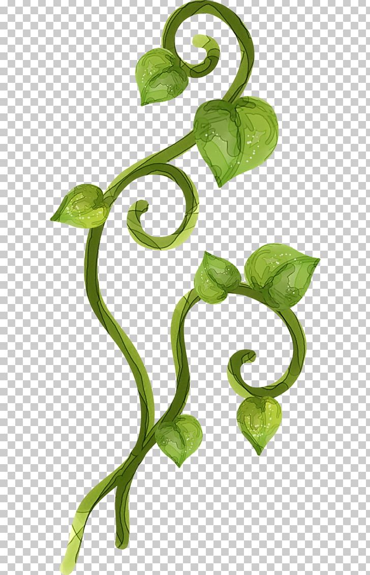 Green PNG, Clipart, Creeper, Data, Flora, Friendship, Friendship Day Free PNG Download