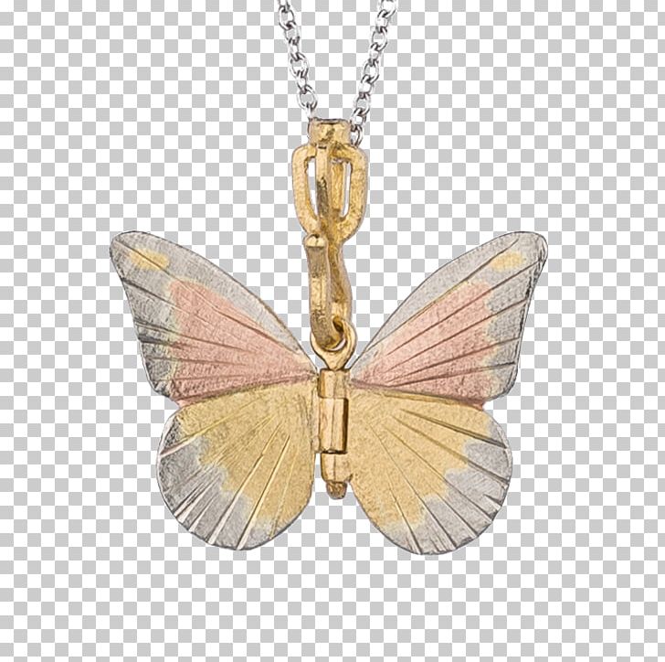 Locket Butterfly Jewellery Necklace Costume Jewelry PNG, Clipart, Albatros, Birdwing, Butterfly, Costume Jewelry, Diamond Free PNG Download