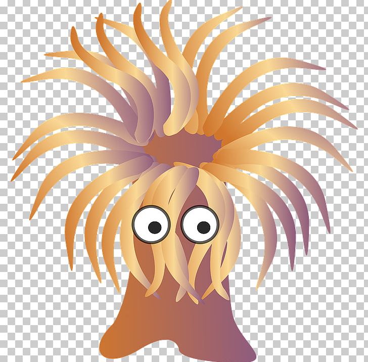 Sea Anemone PNG, Clipart, Anemone, Art, Bubbletip Anemone, Cartoon, Coral Free PNG Download