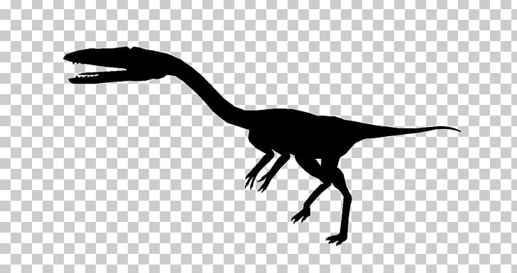 Velociraptor Silhouette Black White PNG, Clipart, Animals, Black, Black And White, Dinosaur, Line Free PNG Download