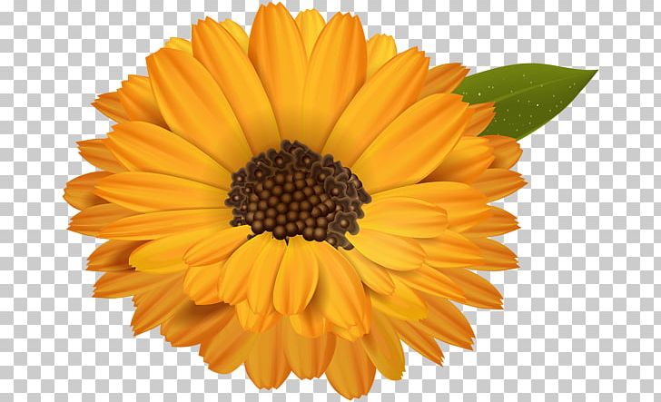 Gear PNG, Clipart, Annual Plant, Businessperson, Calendula, Chrysanths, Daisy Family Free PNG Download