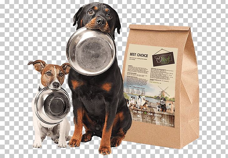 Dog Food Cat Food Pet PNG, Clipart, Assistance Dog, Best, Best Choice, Carnivoran, Cat Free PNG Download