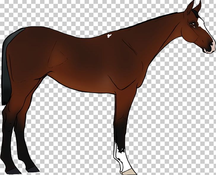 Foal Pony Mustang Mare Rein PNG, Clipart, Bridle, Colt, English Riding, Foal, Halter Free PNG Download
