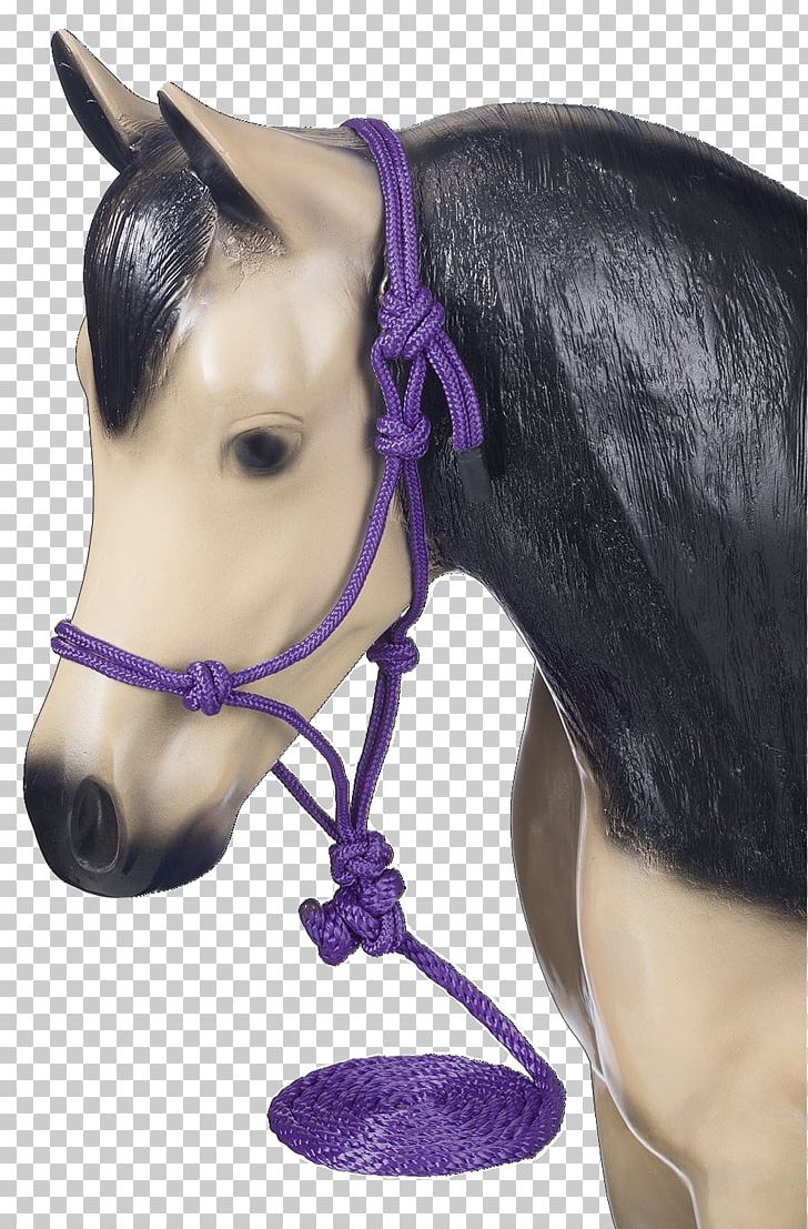 Halter American Miniature Horse Pony Bridle Lead PNG, Clipart, American Miniature Horse, Bit, Bridle, Ear, Halter Free PNG Download