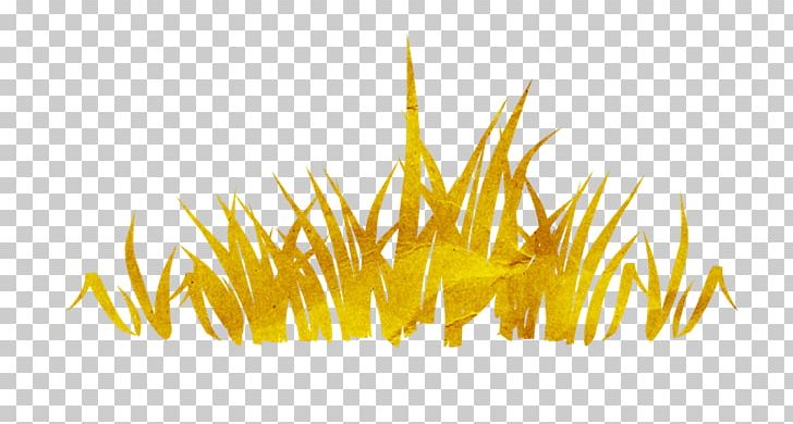 Illustration PNG, Clipart, Adobe Illustrator, Angle, Animation, Artificial Grass, Brand Free PNG Download