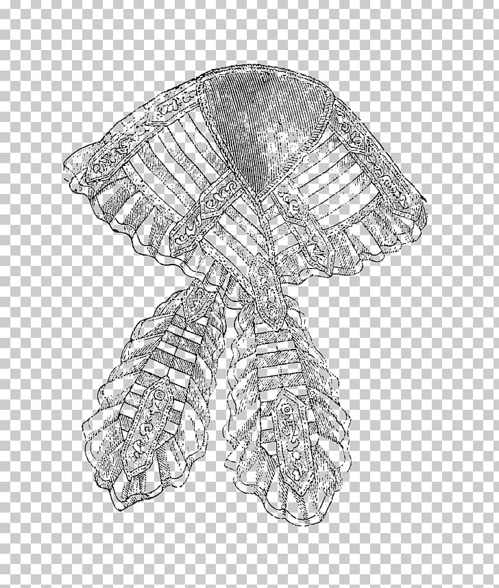 Invertebrate Line Art White Sketch PNG, Clipart, Art, Artwork, Black And White, Drawing, Hand Free PNG Download