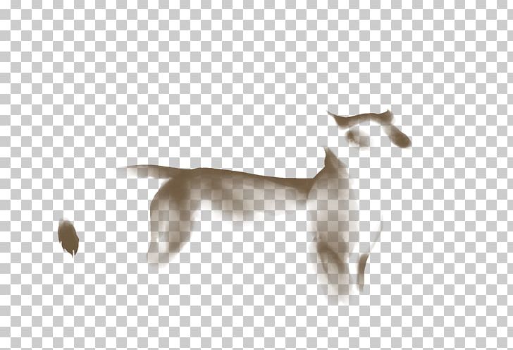 Cat Canidae Dog Fauna Tail PNG, Clipart, Animals, Black And White, Canidae, Carnivoran, Cat Free PNG Download