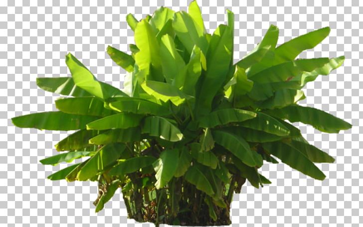 Green Plant PNG, Clipart, Bahar Cicekleri, Bitki Resimleri, Cicek, Cicek Resimleri, Clip Art Free PNG Download