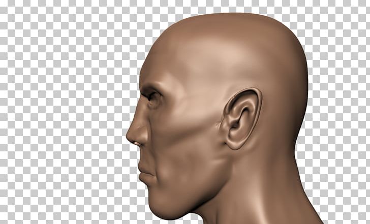 Human Head Face Human Body Skull PNG, Clipart, Anatomy, Cheek, Chin, Drawing, Ear Free PNG Download