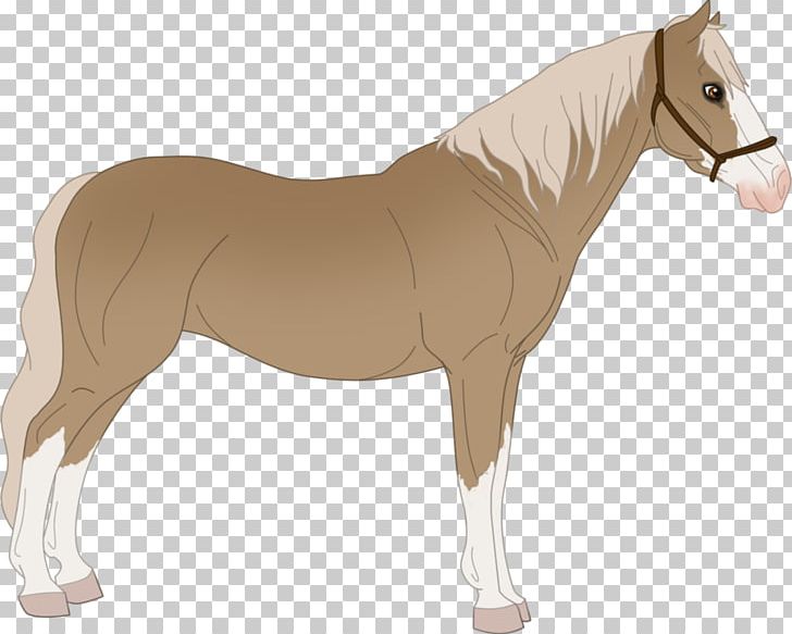 Mustang Stallion Foal Mare Colt PNG, Clipart, Animal Figure, Bridle, Colt, Foal, Halter Free PNG Download