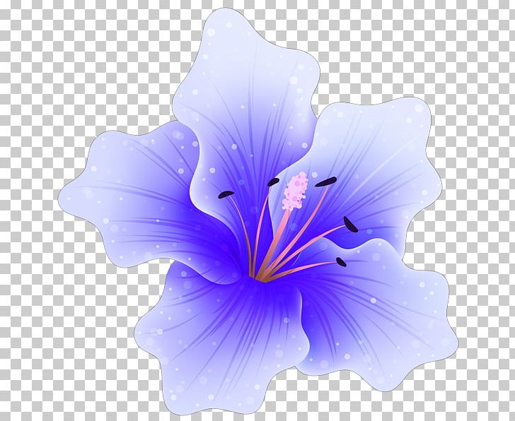 Pink Flowers Rose PNG, Clipart, Blue, Desktop Wallpaper, Flower, Flowering Plant, Flowers Free PNG Download