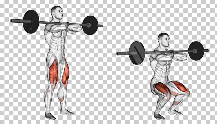 Squat Exercise Barbell Weight Training Vastus Medialis PNG, Clipart, Abdomen, Arm, Bench, Biceps Curl, Bodybuilding Free PNG Download