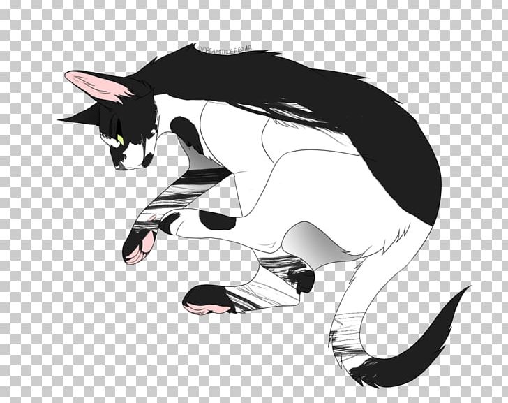 Whiskers Kitten Cat Dog Canidae PNG, Clipart, Animals, Black And White, Canidae, Carnivoran, Cartoon Free PNG Download