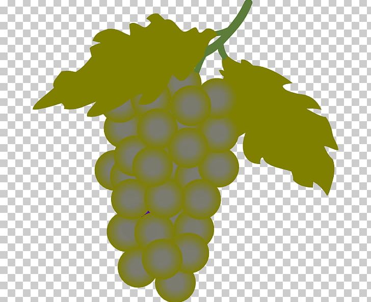 Wine Common Grape Vine PNG, Clipart, Blog, Common Grape Vine, Download, Flowering Plant, Food Free PNG Download