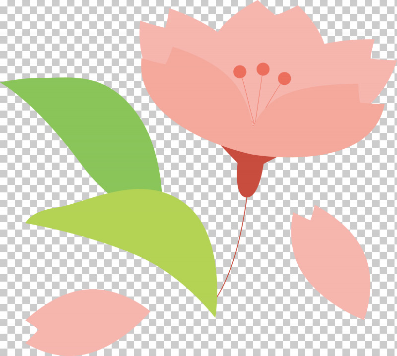 Cherry Flower Floral Flower PNG, Clipart, Cherry Flower, Floral, Flower, Leaf, Pedicel Free PNG Download