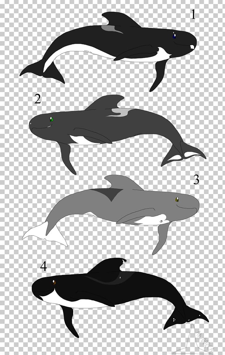 Common Bottlenose Dolphin Tucuxi Porpoise Killer Whale PNG, Clipart, Animals, Biology, Black And White, Bottlenose Dolphin, Cetacea Free PNG Download