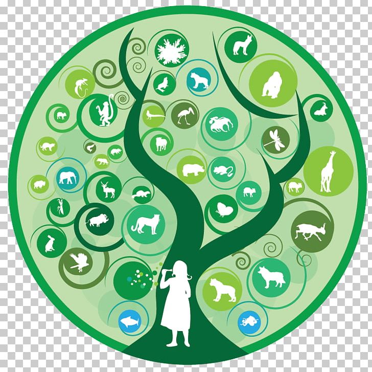 International Year Of Biodiversity International Day For Biological Diversity Convention On Biological Diversity Ecology PNG, Clipart, Biodiversity, Biology, Convention On Biological Diversity, Ecology, Education Science Free PNG Download