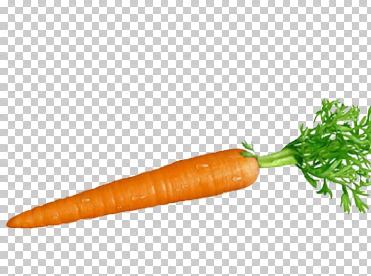 Carrot And Stick Root Vegetables Food PNG, Clipart, Baby Carrot, Bockwurst, Carrot, Carrot And Stick, Color Free PNG Download