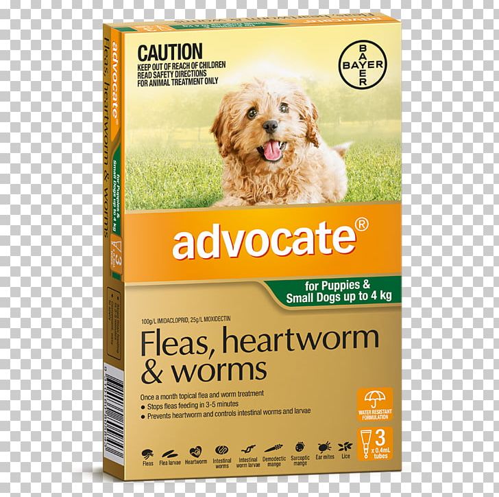 Dog Heartworm Cat Puppy Pet PNG, Clipart, Advocate, Animals, Cat, Companion Dog, Dog Free PNG Download