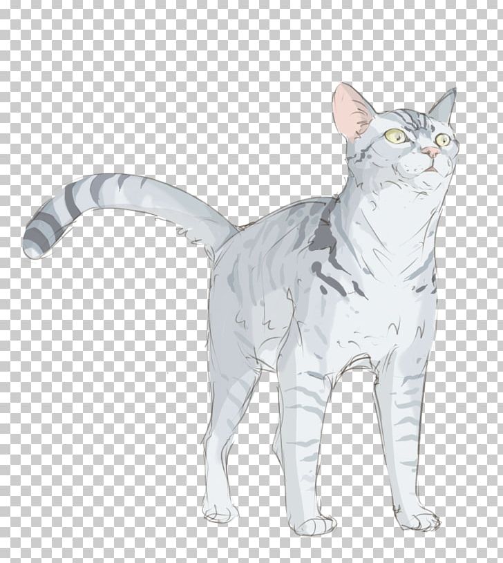 European Shorthair American Wirehair American Shorthair Whiskers Domestic Short-haired Cat PNG, Clipart, Ame, Animal Figure, Animals, Brazilian Shorthair, British Shorthair Free PNG Download