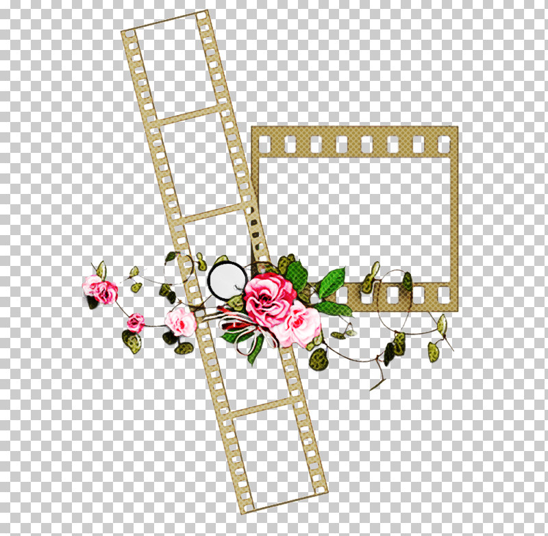 Floral Design PNG, Clipart, Biology, Branching, Floral Design, Flower, Petal Free PNG Download