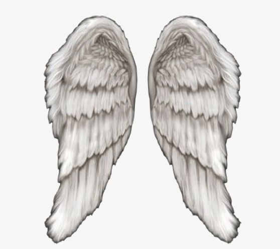 Angel Wings PNG, Clipart, Angel, Angel Clipart, Angel Wings, Creative, Material Free PNG Download