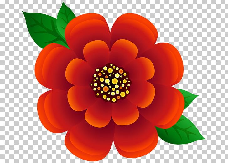 Christmas Gift Transvaal Daisy PNG, Clipart, 3 Flower Red, Advertising, Christmas, Christmas Gift, Clip Free PNG Download