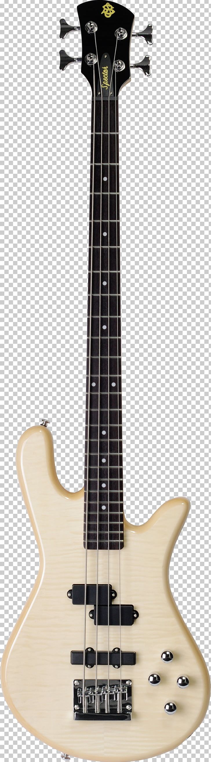 Acoustic Bass Guitar Acoustic-electric Guitar PNG, Clipart, Acoustic Electric Guitar, Gretsch, Guitar Accessory, Musical Instrument, Musical Instruments Free PNG Download