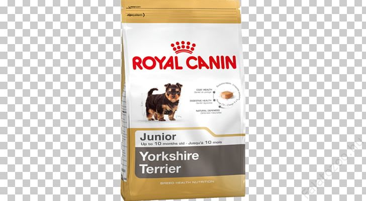 Puppy Yorkshire Terrier Cat Golden Retriever Miniature Schnauzer PNG, Clipart, Animals, Carnivoran, Cat, Cat Food, Dog Free PNG Download