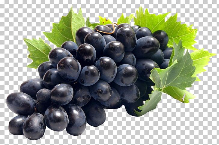 Common Grape Vine Juice PNG, Clipart, Amazon Grape, Berry, Bilberry, Blueberry, Common Grape Vine Free PNG Download