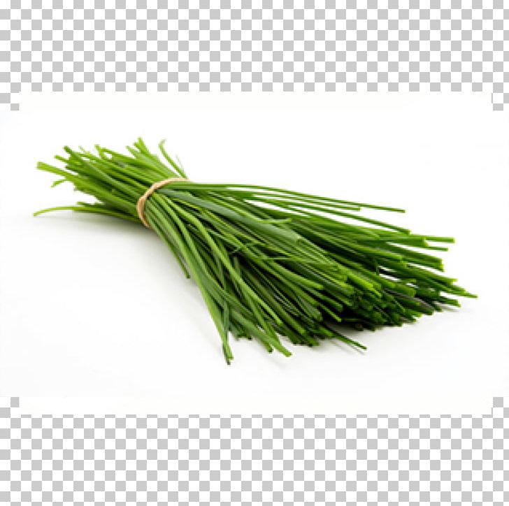 Garlic Chives Scallion Green Herb PNG, Clipart, Allium, Chives, Commodity, Food, Fruit Free PNG Download