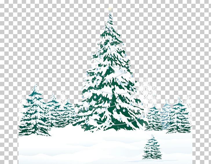 Tree Snow Pine PNG, Clipart, Christmas, Christmas Decoration, Christmas Ornament, Christmas Tree, Computer Icons Free PNG Download