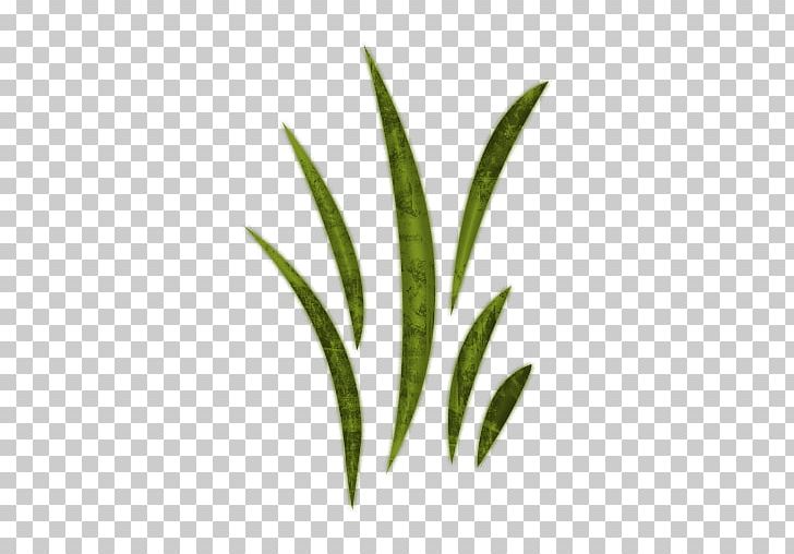 Blade Free Content PNG, Clipart, Blade, Clip Art, Document, Flower, Flower Weeds Cliparts Free PNG Download