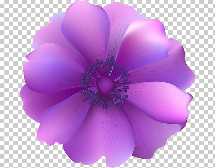Flower Computer Icons Purple PNG, Clipart, Blue, Computer Icons, Flower, Flowering Plant, Herbaceous Plant Free PNG Download