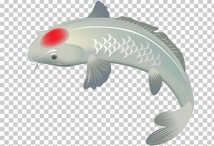 Koi Fish PNG, Clipart, Animal, Animals, Art Museum, Biology, Fauna Free PNG Download