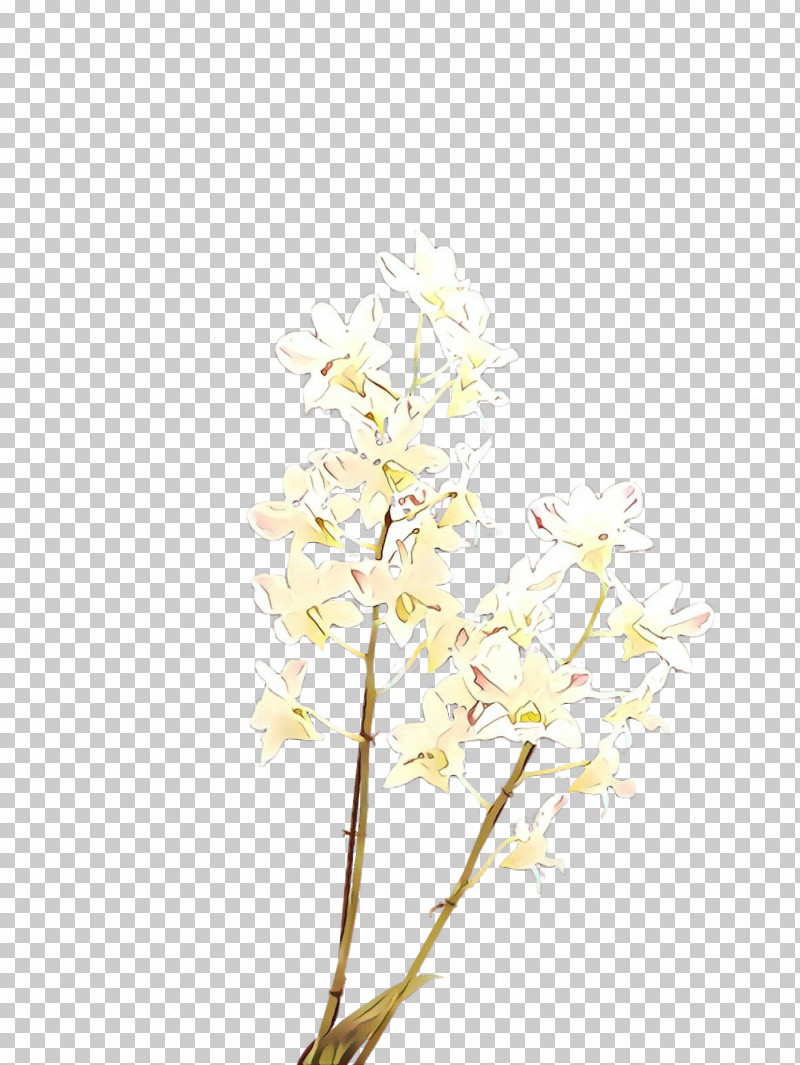 White Flower Branch Plant Twig PNG, Clipart, Blossom, Branch, Cut Flowers, Flower, Plant Free PNG Download