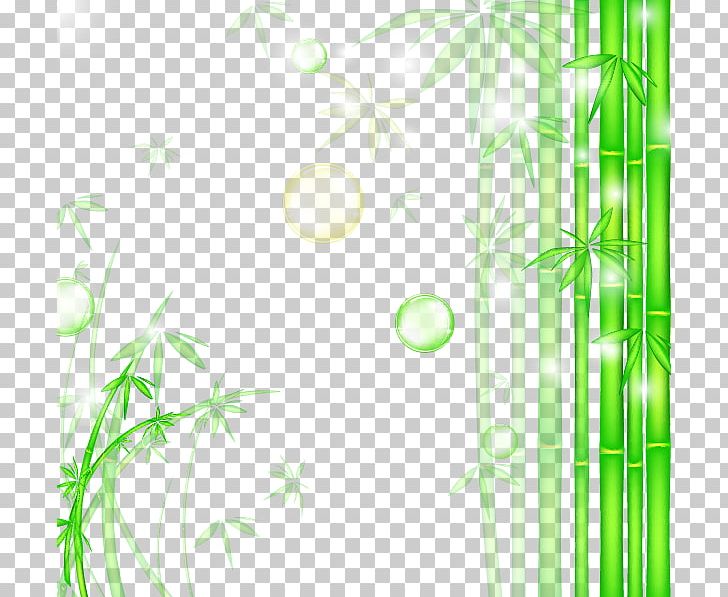 Bamboo Graphic Design PNG, Clipart, Angle, Area, Background Green, Bamboo, Circle Free PNG Download