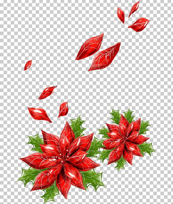 Christmas Card Greeting Card Wish PNG, Clipart, Christmas Decoration, Christmas Lights, Desktop Wallpaper, Flowers, Joulukukka Free PNG Download