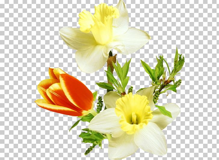 Computer Icons PNG, Clipart, Blog, Cicekler, Computer Icons, Cut Flowers, Daffodil Free PNG Download