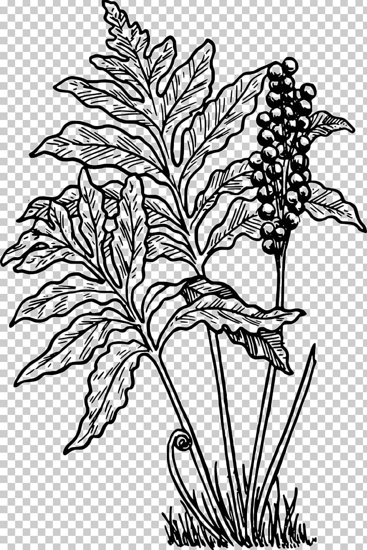 Fern Frond Computer Icons PNG, Clipart, Art, Artwork, Black And White, Branch, Commodity Free PNG Download