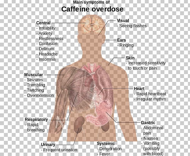 Caffeine Instant Coffee Tea Caffeinated Drink PNG, Clipart, Abdomen, Angle, Arm, Back, Caffeinated Drink Free PNG Download