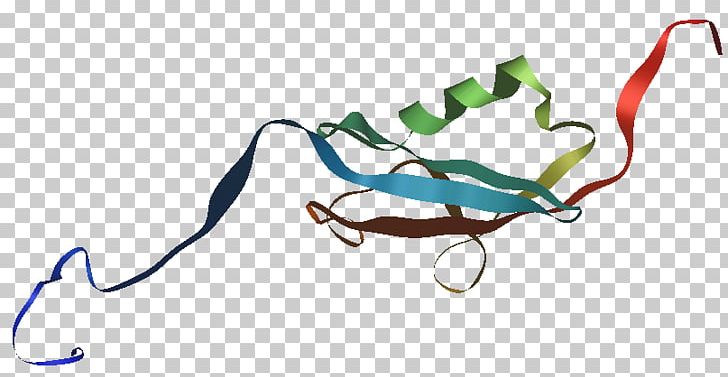 SUMO Protein Protein Yıkımı Small Ubiquitin-related Modifier 1 UBA2 PNG, Clipart, Alpha Helix, Apoptosis, Cell, Enzyme, Fashion Accessory Free PNG Download