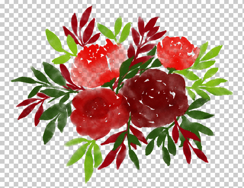 Flower Red Plant Branch Leaf PNG, Clipart, Branch, Carnation, Flower, Leaf, Petal Free PNG Download