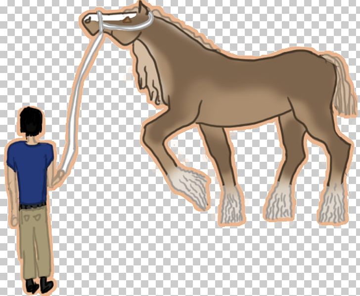 Mustang Foal Stallion Mare Halter PNG, Clipart, Animal Figure, Beautiful Aura, Bridle, Cartoon, Colt Free PNG Download