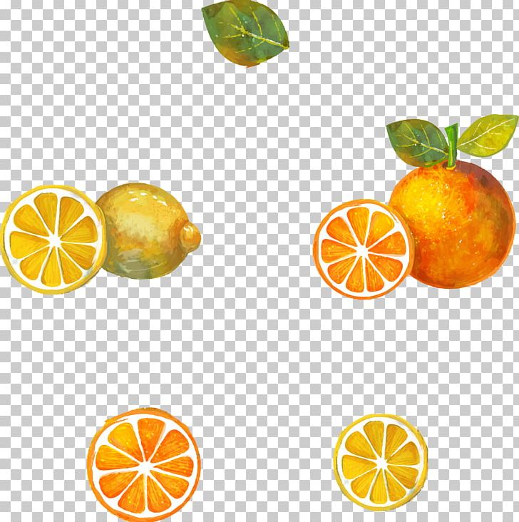 Tea Clementine Yuja-cha Lemon Grapefruit PNG, Clipart, Cartoon, Citric Acid, Citrus, Citrus Junos, Food Free PNG Download