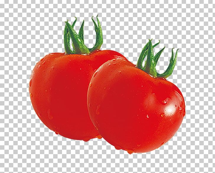 Tomato Juice Plum Tomato Orange Juice Piquillo Pepper PNG, Clipart, Bush Tomato, Cherry Tomato, Diet Food, Download, Food Free PNG Download