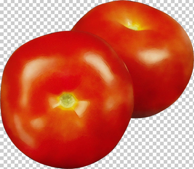 Tomato PNG, Clipart, Bush Tomato, Food, Fruit, Herb, Local Food Free PNG Download