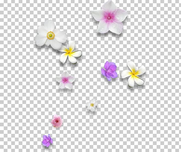 Floral Scent Aroma Compound Flower Fabric Softener Perfume PNG, Clipart, Aroma Compound, Body Jewelry, Eau De Toilette, Fabric, Fabric Softener Free PNG Download